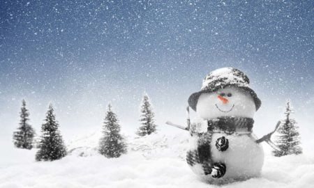 Winter Snowman Beautiful Snowfall Image