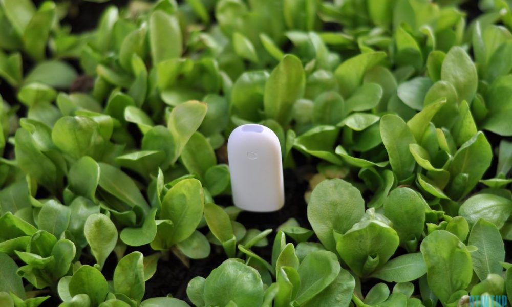 Xiaomi Mi Plant, un accessorio economico ma essenziale per le tue piante