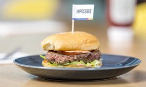 cropped impossible burger