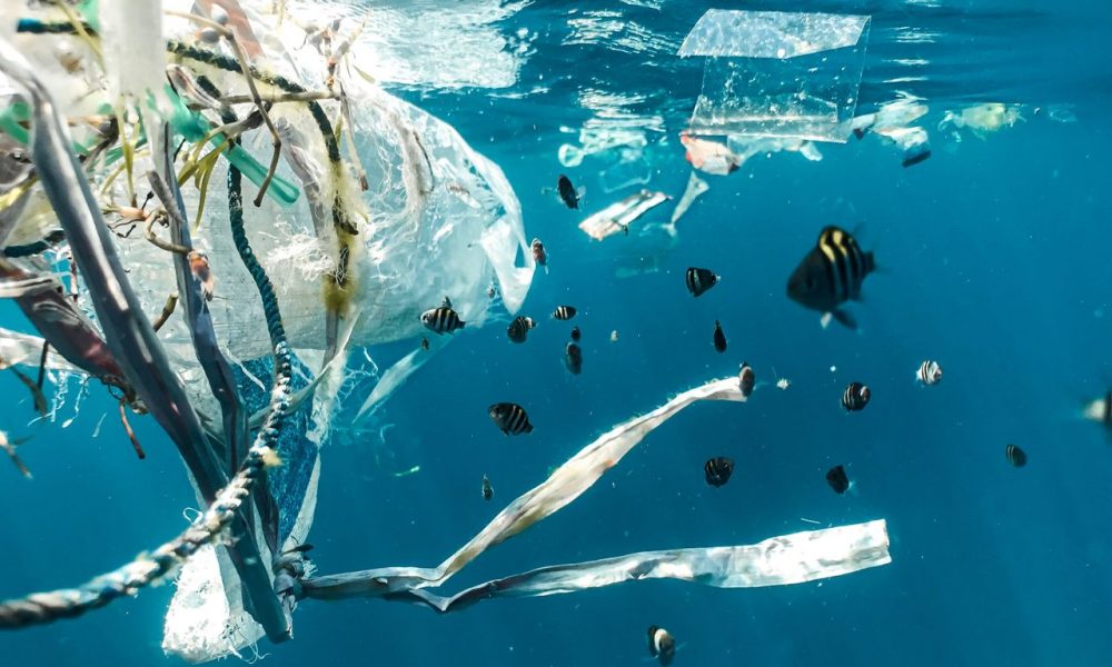 Gli impatti del Covid nell’ambiente, tra plastica e mascherine negli oceani